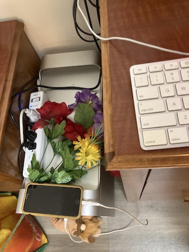 Shot of the Mac Pro and the white power bar sitting on top of it; four devices are plugged in, each cable wrapping behind the Mac Mini, exposing only the cable ends above. A plastic flower bouqet is tucked into the front handle of the Mac Mini, lightly obscuring the power bar and lending a little color to the layout.